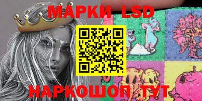 индика Заволжье