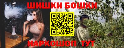 индика Заводоуковск