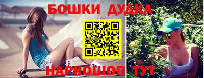 индика Заволжье