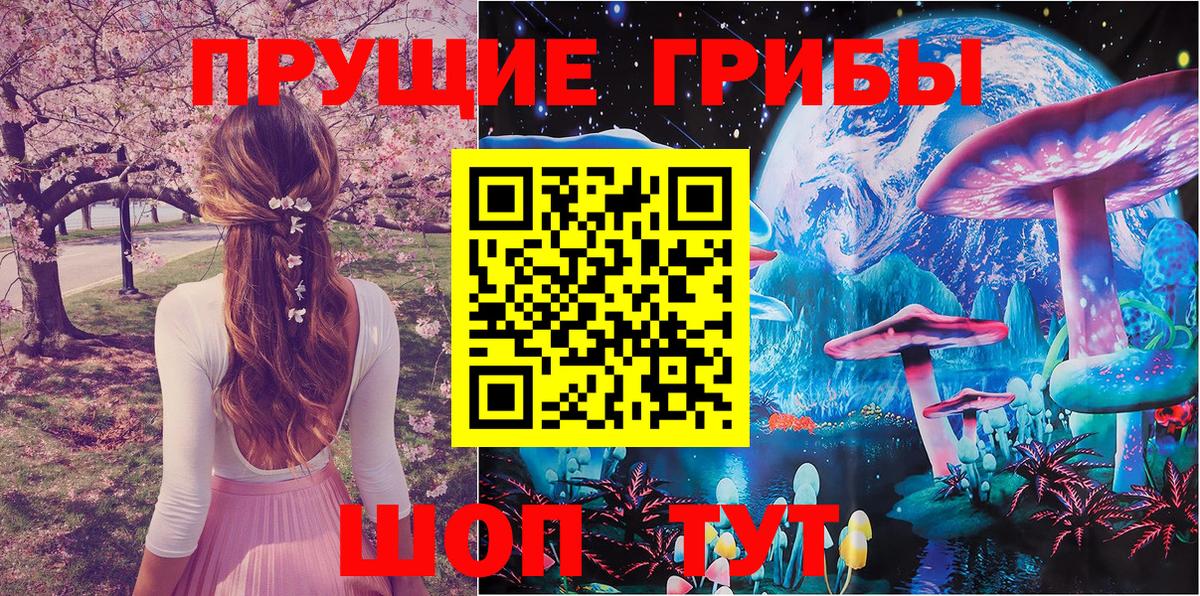 Псилоцибиновые грибы Cubensis  Вход с VPN  Лесосибирск  Псилоцибиновые грибы мухоморы 